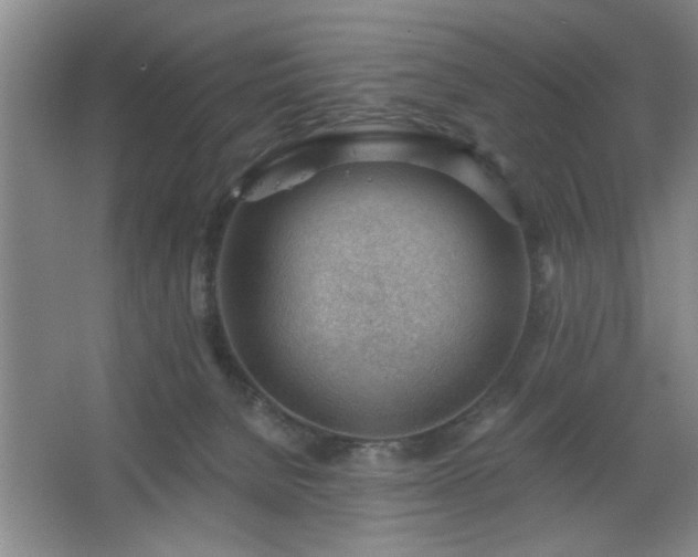 X0000062610080200512281514