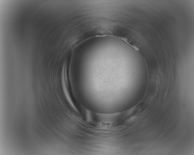 X0000062610084200512281514