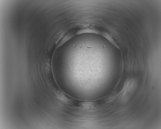 X0000062610085200512281514