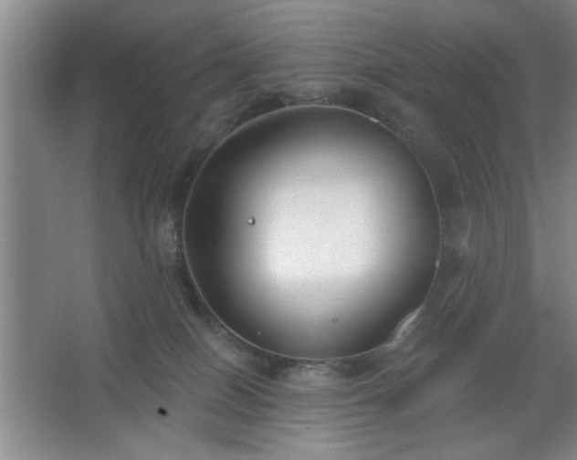 X0000062610086200512281514