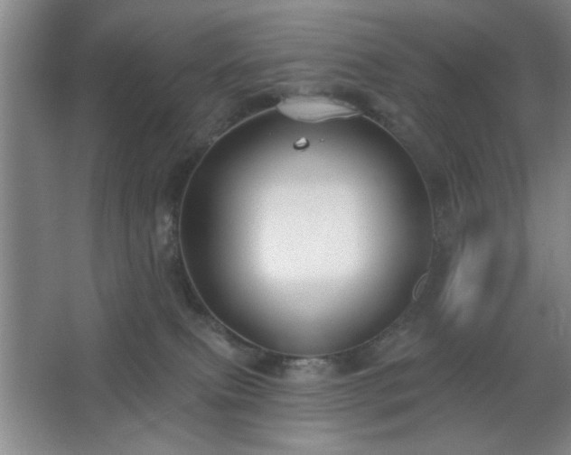 X0000062610087200512281514