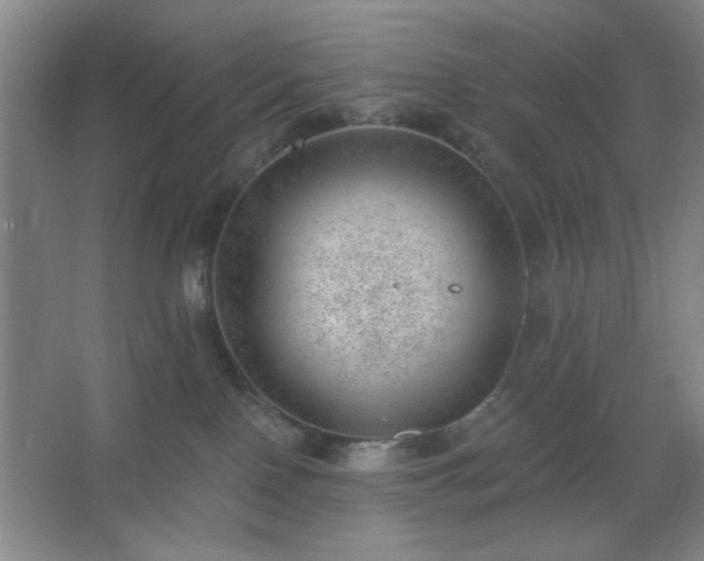 X0000062610090200512281514