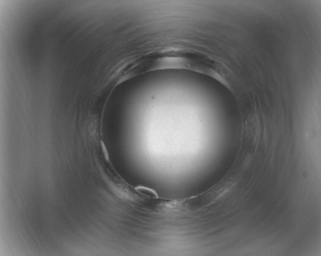 X0000062610092200512281515