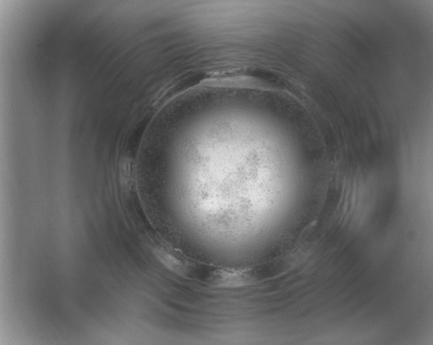 X0000062610093200512281515