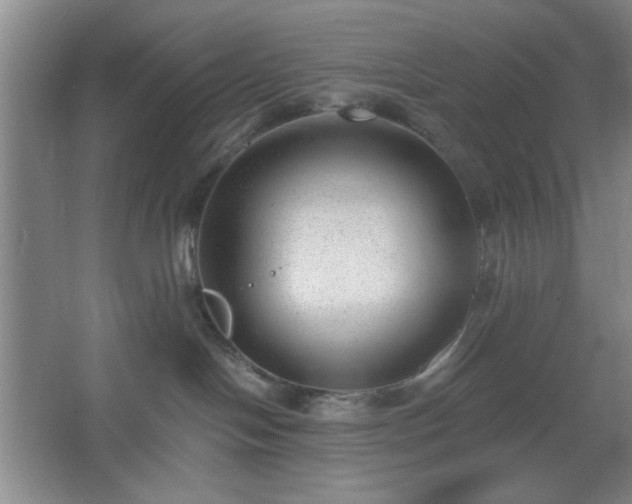 X0000062610094200512281515