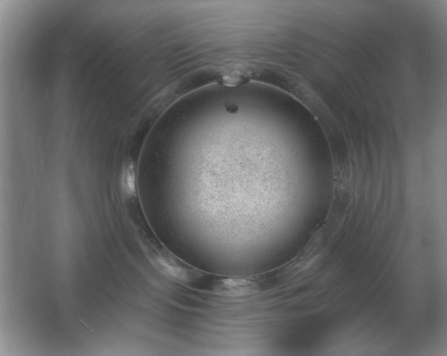 X0000062610095200512281515