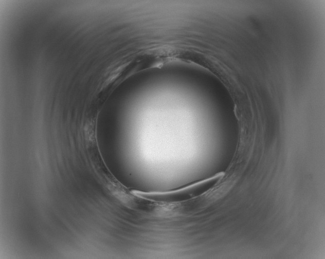 X0000062610096200512281515