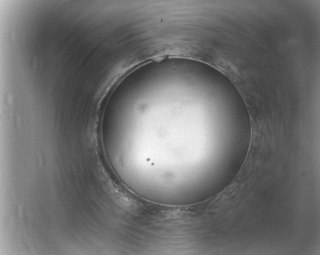 X0000062610098200512281514