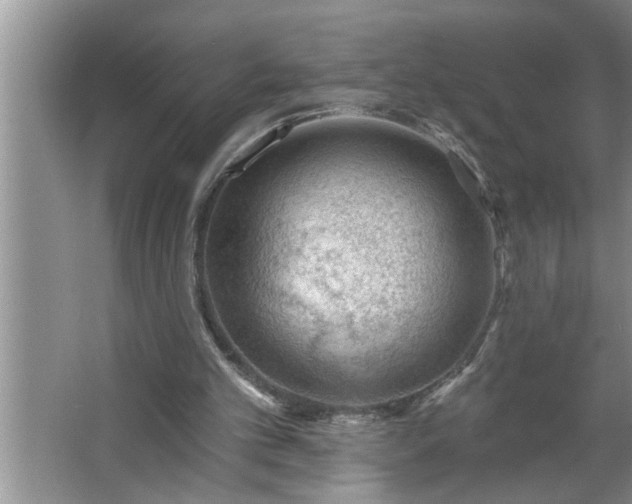 X0000062610101200512281514