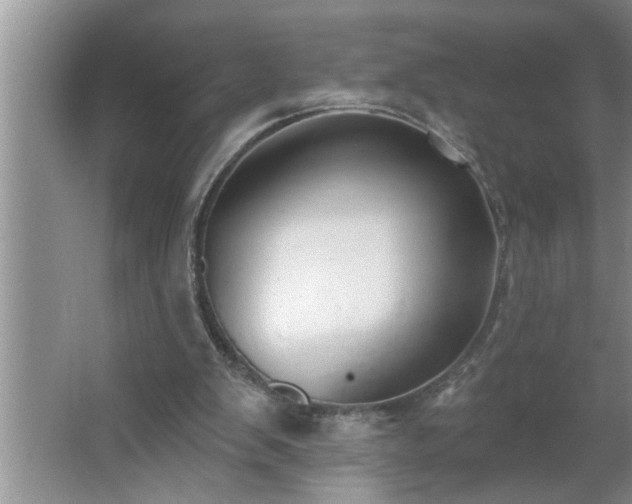 X0000062610103200512281514