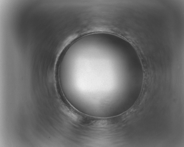 X0000062610104200512281514