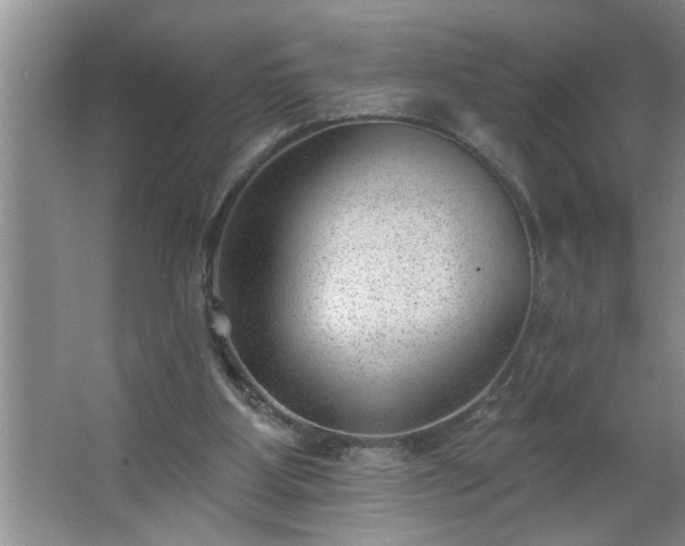 X0000062610107200512281514