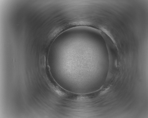 X0000062610109200512281514