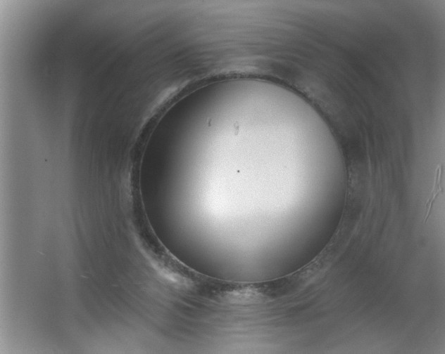 X0000062610112200512281514