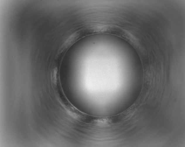 X0000062610118200512281513