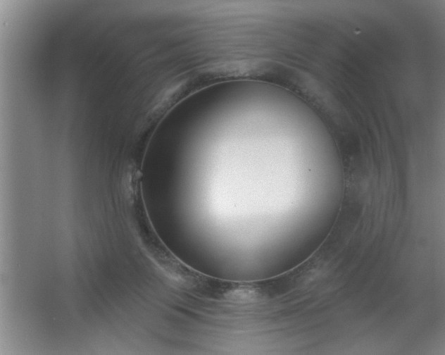 X0000062610119200512281513