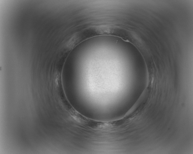 X0000062610125200512281513