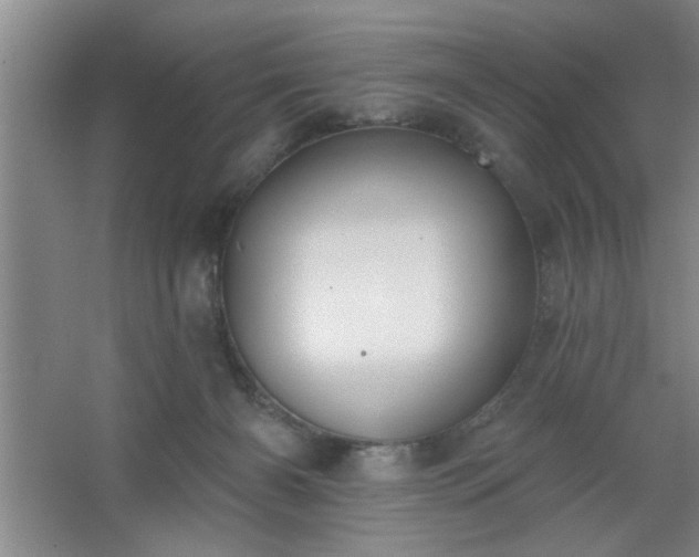 X0000062610126200512281513