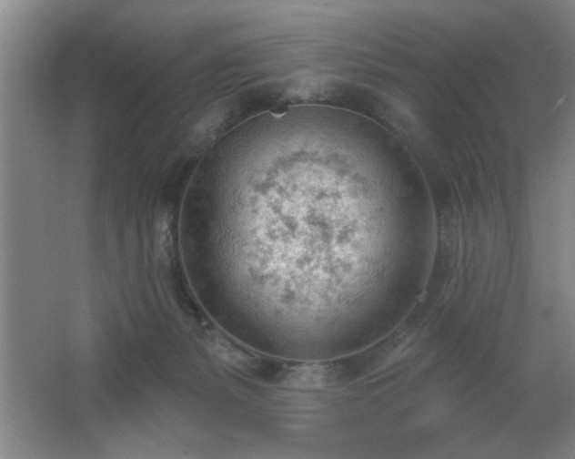 X0000062610127200512281513