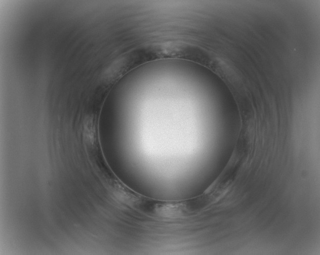 X0000062610129200512281513