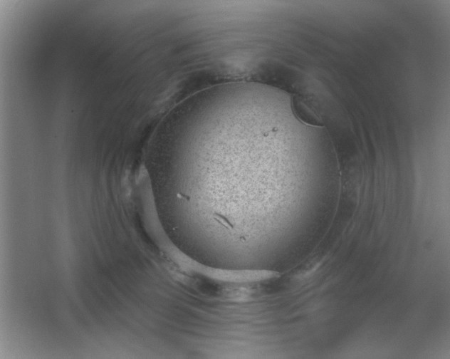 X0000062610131200512281513