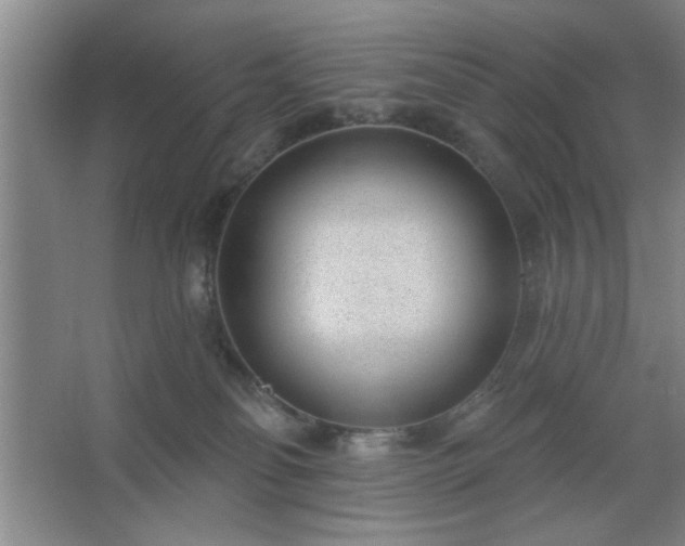 X0000062610134200512281513