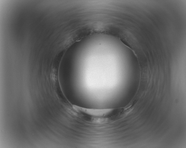 X0000062610135200512281513