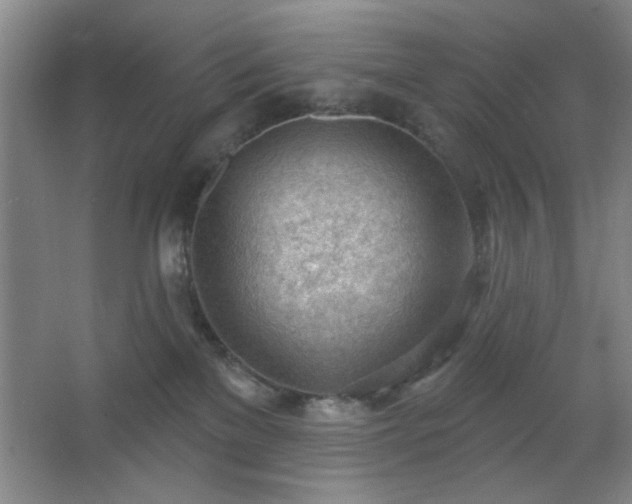 X0000062610137200512281513