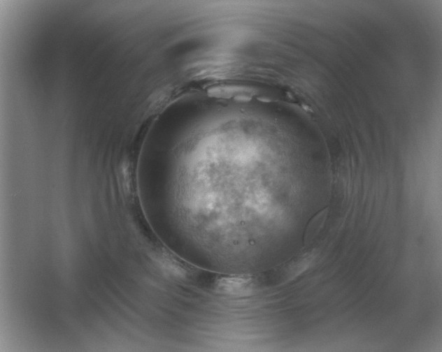 X0000062610139200512281513