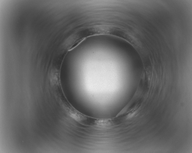 X0000062610141200512281513