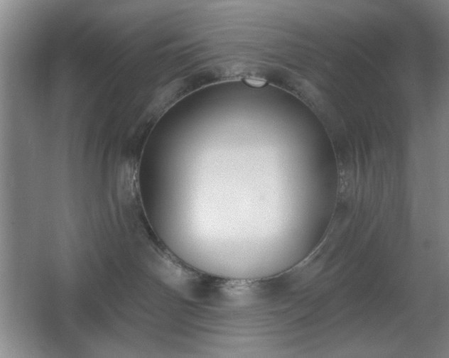 X0000062610142200512281513