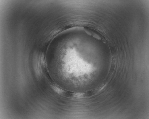 X0000062610143200512281513