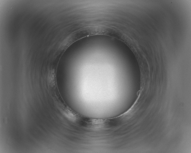 X0000062610144200512281513