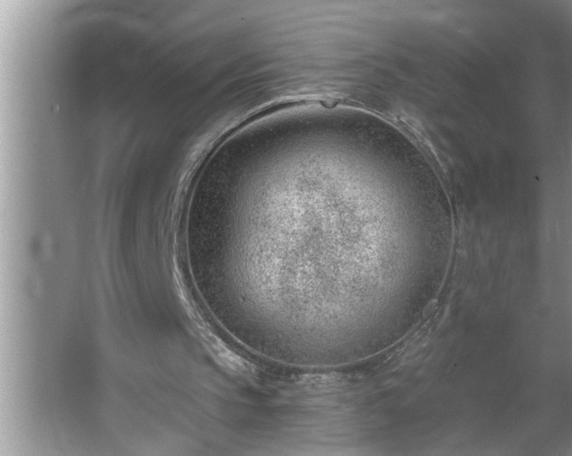 X0000062610145200512281512