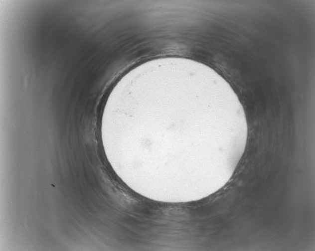 X0000062610146200512281512