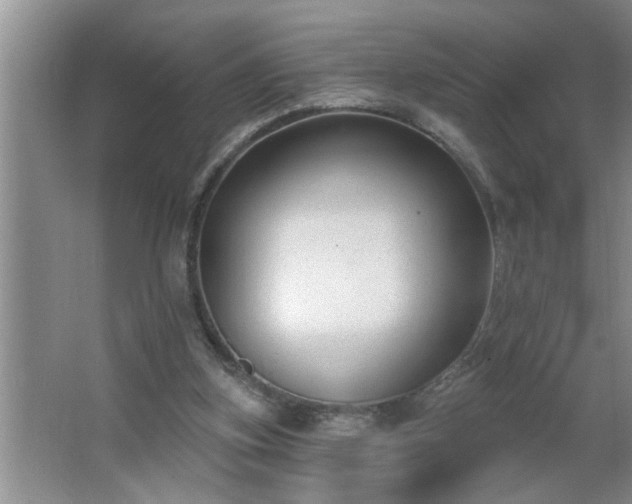 X0000062610155200512281512