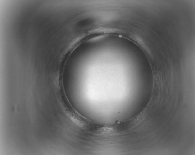 X0000062610159200512281512