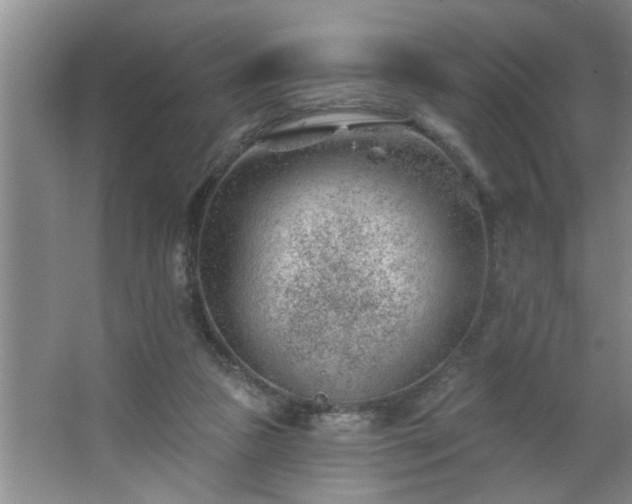 X0000062610161200512281512