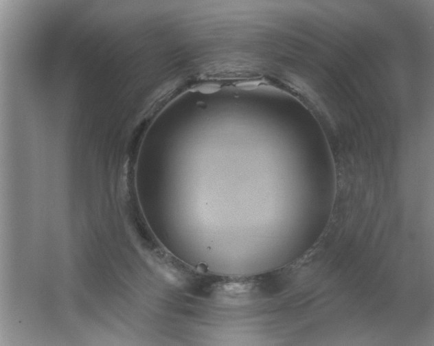 X0000062610163200512281512