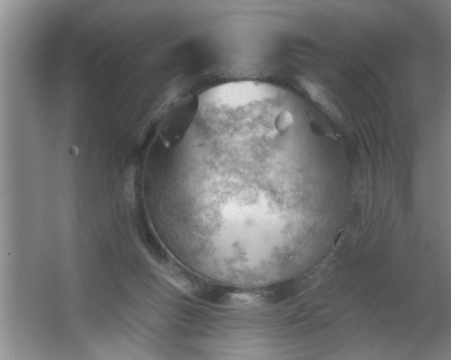 X0000062610167200512281513