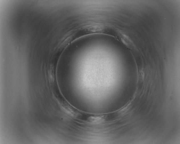 X0000062610170200512281513