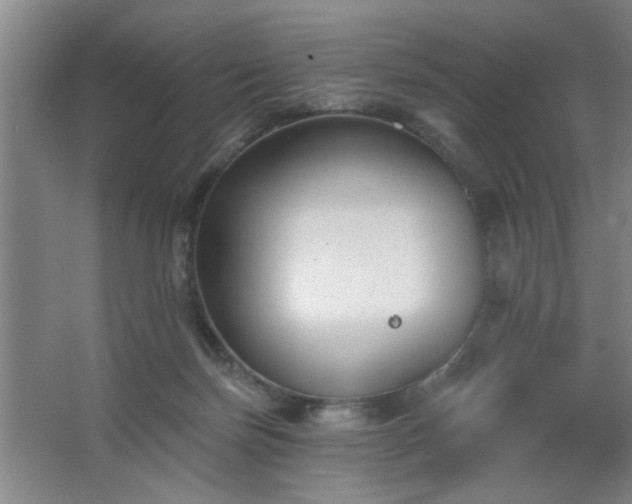 X0000062610171200512281513