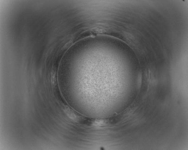 X0000062610177200512281513