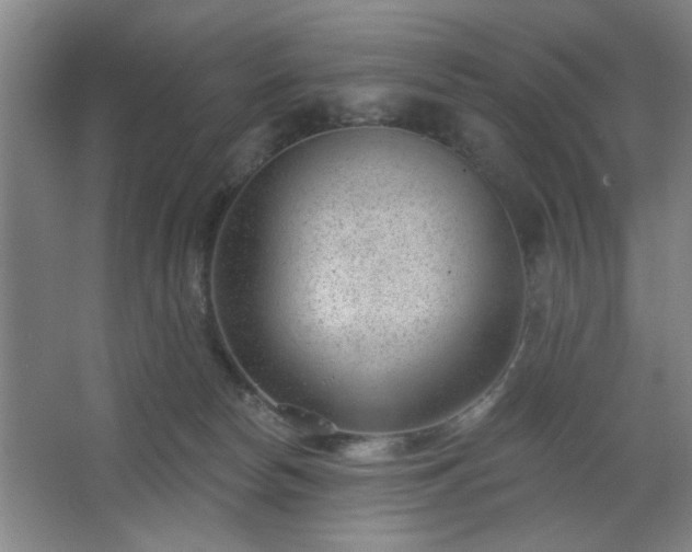 X0000062610178200512281513