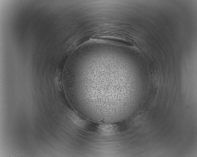 X0000062610181200512281513