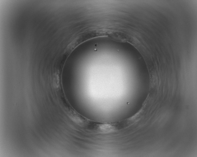 X0000062610183200512281513