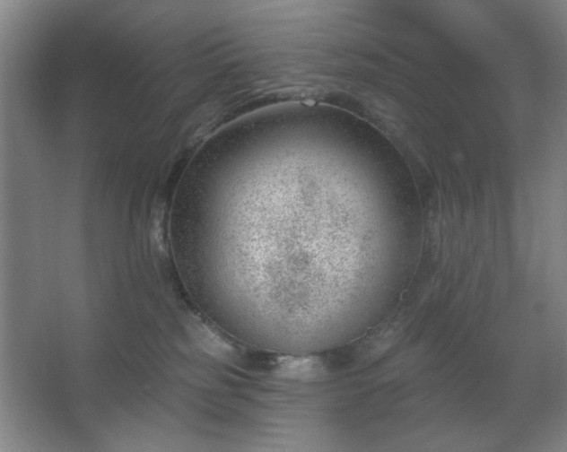 X0000062610185200512281513