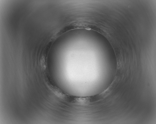 X0000062610187200512281513