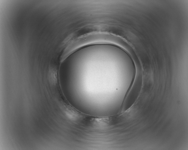 X0000062610188200512281513