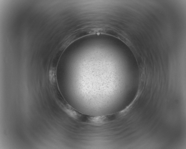 X0000062610191200512281513